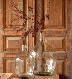 Aubergine Vine