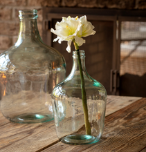 Load image into Gallery viewer, Grand Amaryllis
