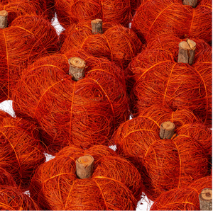 Natural Botanicals Dried Pumpkins