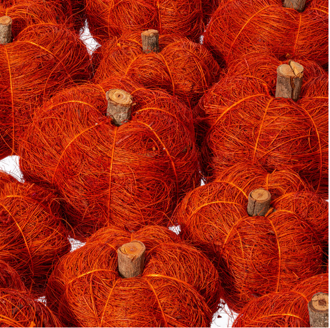 Natural Botanicals Dried Pumpkins