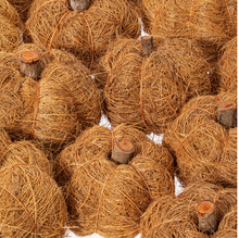 Load image into Gallery viewer, Natural Botanicals Dried Pumpkins
