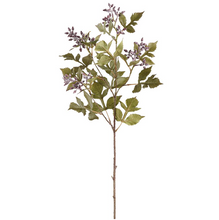Load image into Gallery viewer, Seeded Ash Leaf Spray
