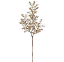 Load image into Gallery viewer, Asparagus Fern Spray
