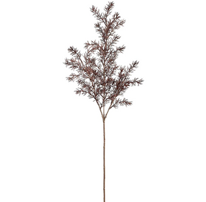 Asparagus Fern Spray
