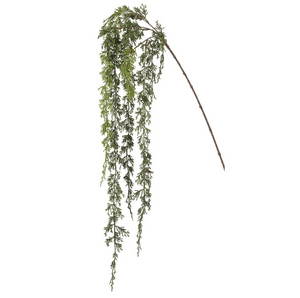 Hanging Cedar Spray