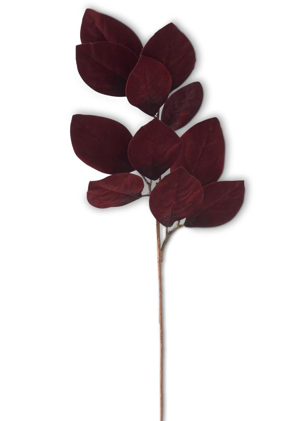 Burgundy Magnolia Leaf Stem