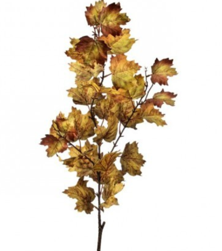 Northern Vermont Maple Spray