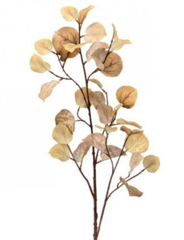 Birch Leaf Spray