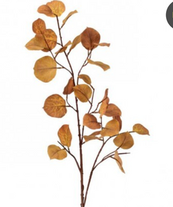Birch Leaf Spray