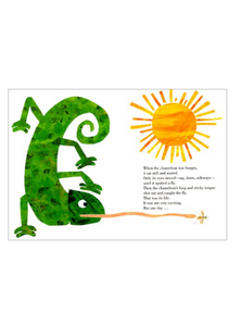 The Mixed-Up Chameleon Board Book