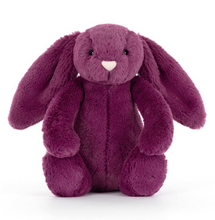 Load image into Gallery viewer, Bashful  Bunny

