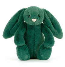 Load image into Gallery viewer, Bashful  Bunny

