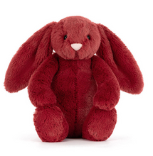 Load image into Gallery viewer, Bashful  Bunny
