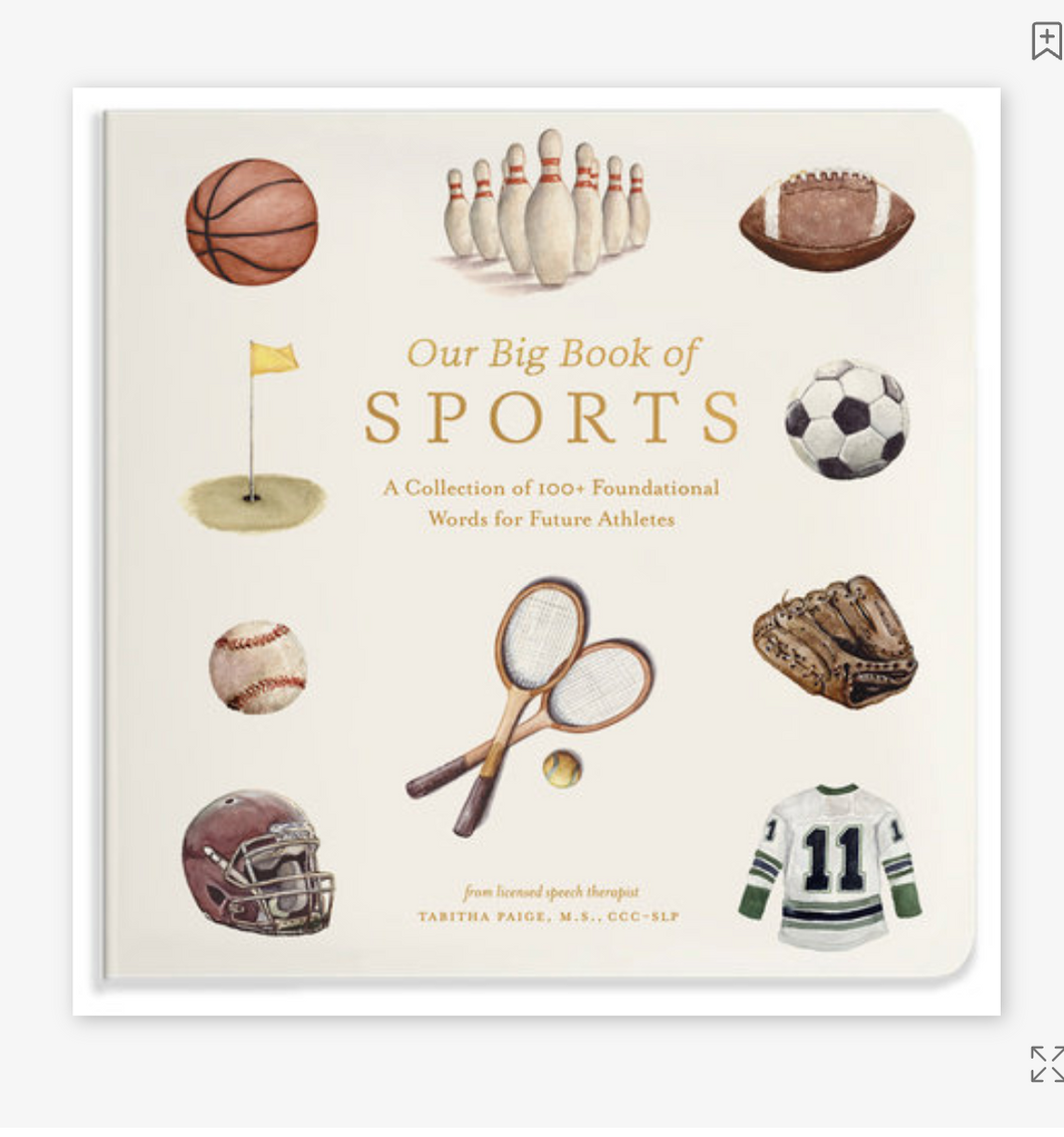 Our Big Book of Sports