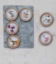 Load image into Gallery viewer, Botanical Magnet Set
