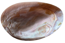 Load image into Gallery viewer, Decorative Natural Shell Footed Dish
