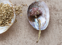 Load image into Gallery viewer, Decorative Natural Shell Footed Dish
