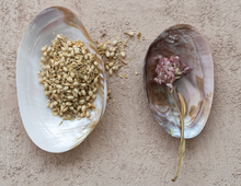 Load image into Gallery viewer, Natural Shell Footed Dish
