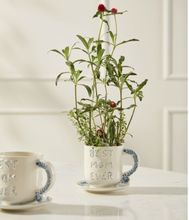 Load image into Gallery viewer, Best in Blue Mug with Saucer
