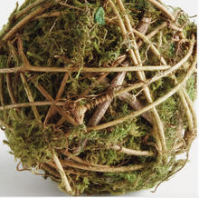 Load image into Gallery viewer, Mossy Vine Orb 4"
