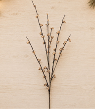Load image into Gallery viewer, Berry Spray
