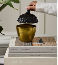 Load image into Gallery viewer, Acorn Decorative Box
