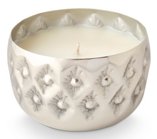 Load image into Gallery viewer, Illume Balsam &amp; Cedar Radiant
