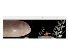 Load image into Gallery viewer, This Is Not My Hat
