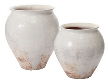 Load image into Gallery viewer, Arthur Vase
