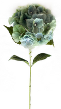 Load image into Gallery viewer, Mason Hydrangea
