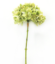 Load image into Gallery viewer, Hydrangea Fresh Green
