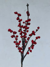 Load image into Gallery viewer, 14.5" Red Berry Pick
