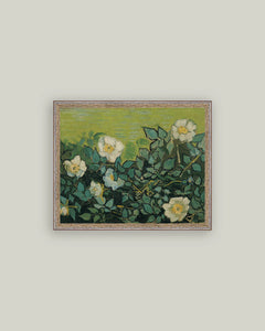 Wild Roses