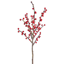 Load image into Gallery viewer, 14.5" Berry Pick - Red
