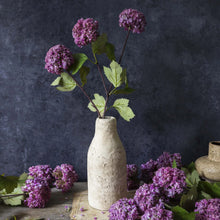 Load image into Gallery viewer, Mauve Guelder Rose
