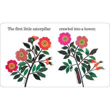 Load image into Gallery viewer, Ten Little Caterpillars
