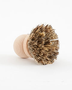 Dish Brush