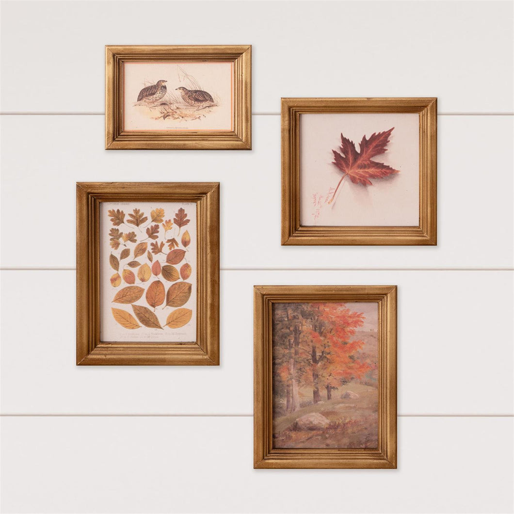 Fall Gallery
