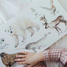 Load image into Gallery viewer, Our Big Book of Animals
