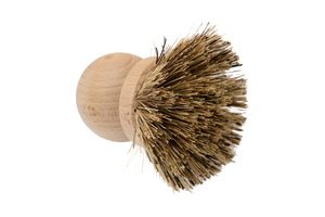 Dish Brush