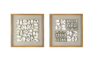 Oyster Shell Art