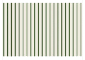 Green Ribbon Stripe Placemat