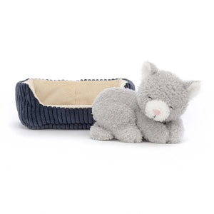 Napping Cat