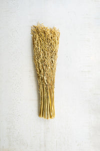 Bundle of Natural Sea Oats