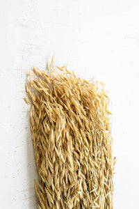 Bundle of Natural Sea Oats