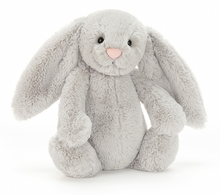 Load image into Gallery viewer, Bashful Grey Bunny
