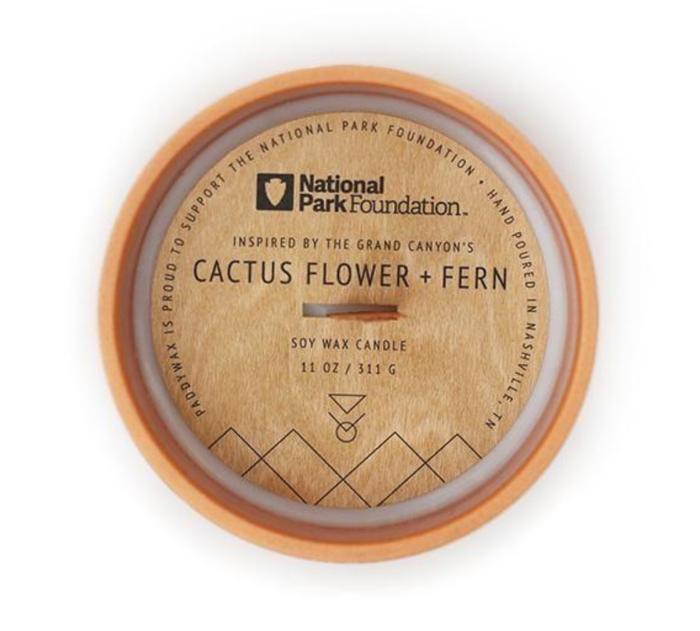 Cactus Flower & Fern Candle