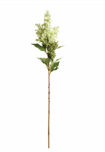 Load image into Gallery viewer, Mini Berry Stem
