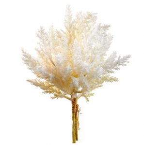 Pampas Grass Bundle