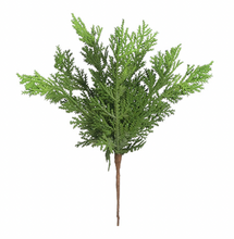 Load image into Gallery viewer, Cedar Pick
